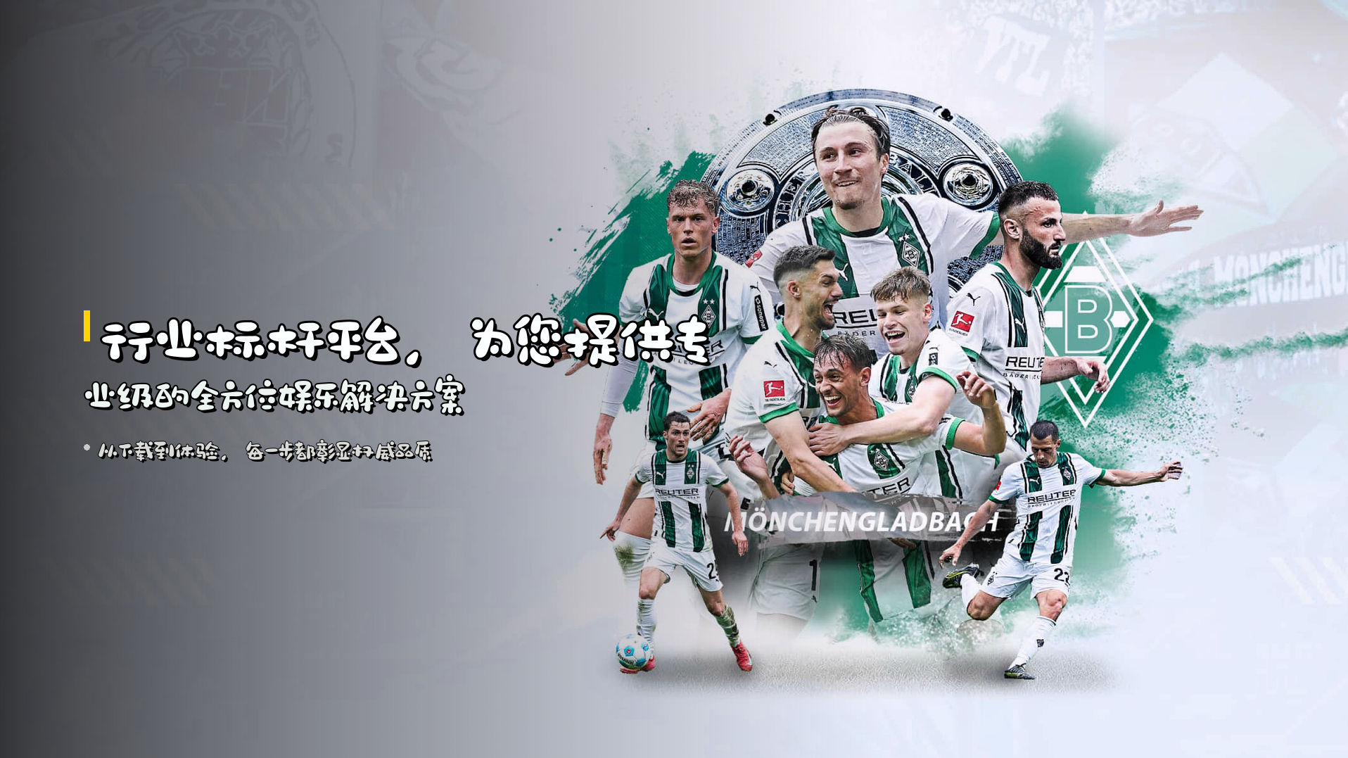 行业标杆平台，<strong>为您提供专业级的全方位娱乐解决方案</strong>